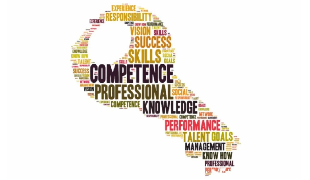 La importancia del enfoque por competencias en el sistema educativo