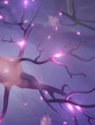 Cómo Aprendemos y Nos Motivamos: Neurociencia para una Educación Eficaz