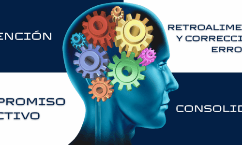 Infografía de neurociencia cognitiva que ilustra los 4 pilares del aprendizaje de Dehaene para el aseguramiento del aprendizaje y la formación por competencias en ESE.