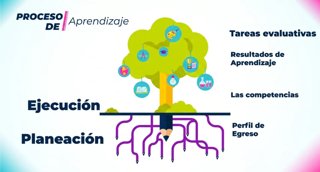 proceso de aprendizaje ESE AoL